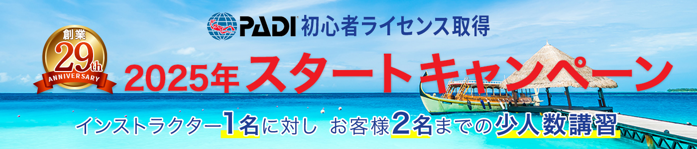 初心者ライセンス取得キャンペーン